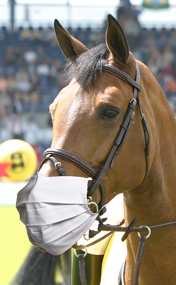 Ulrich Simons - Pferd mit Mundschutz