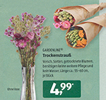 Ulrich Simons - Aldi-Beilage