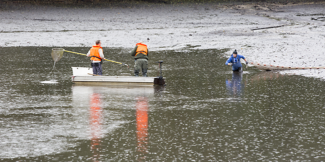 Ulrich Simons - Hangeweiher Abfischen