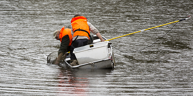 Ulrich Simons - Hangeweiher Abfischen