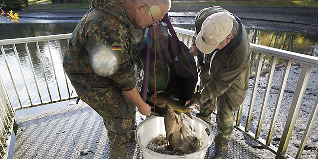 Ulrich Simons - Hangeweiher Abfischen