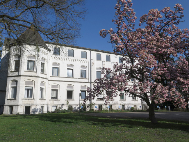 Franziskus Verwaltung