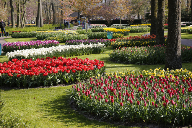 Ulrich Simons - Keukenhof