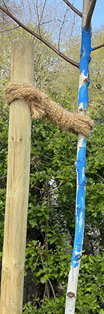 Ulrich Simons - blauer Maibaum