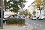 Ulrich Simons - Aachen Morillenhang Hecke