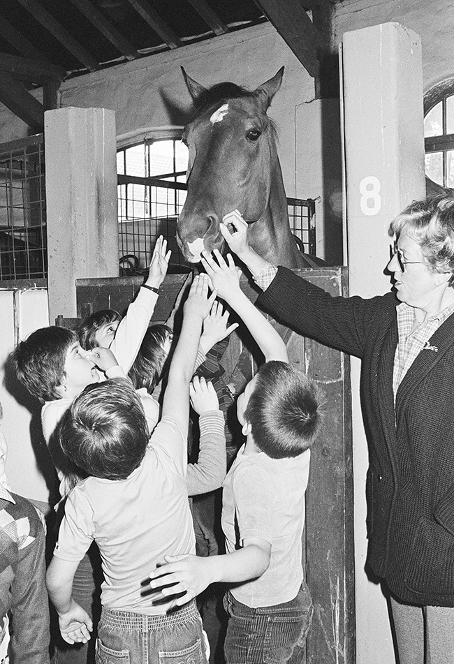 Stallvisite